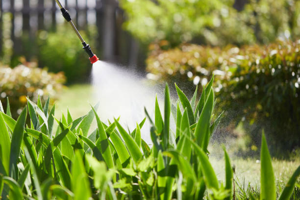 24/7 Emergency Fumigation Services experts in Keller, TX